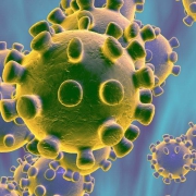 corona virus